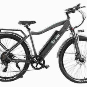 Elektrisches Pedalfahrrad Hersteller