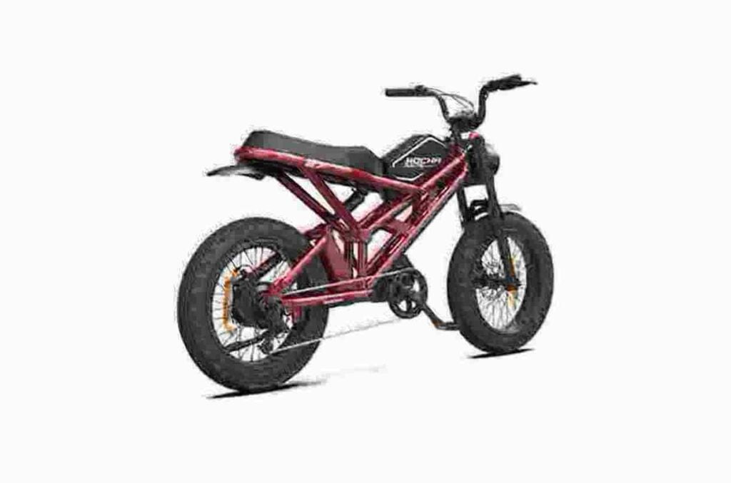 Elektroroller-Fahrrad Hersteller