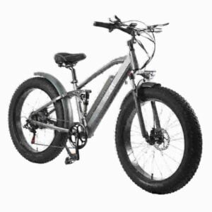 Elektrisches Breitreifenfahrrad Hersteller