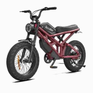 Ev Fahrrad Hersteller