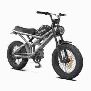 Schnelles Elektrofahrrad Hersteller