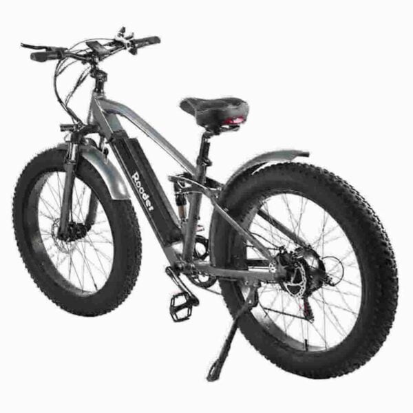 Schnellstes Fat Tire-Elektrofahrrad Hersteller
