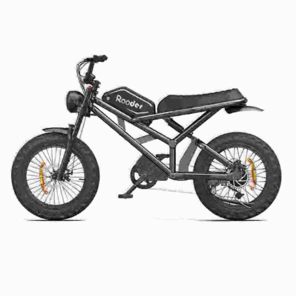 Fat Cycle Electric Hersteller
