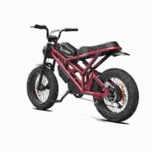 Dicke E-Bikes Hersteller