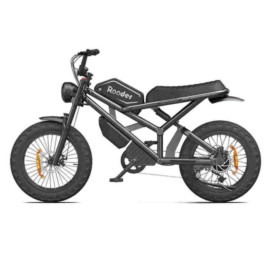 Fat Electric Bike Preis Rooder Schweiz