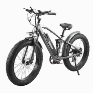 Fat Tire E-Bike Hersteller