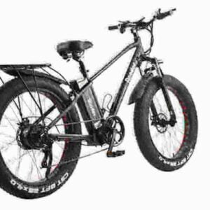 Fat Tire E-Bikes zu verkaufen Hersteller