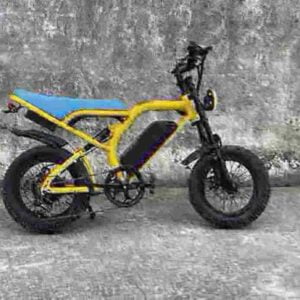 Fat Tire Elektrofahrrad 750 Watt Hersteller