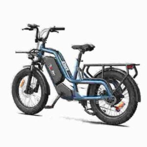 Fat Tire Offroad-Elektrofahrrad Hersteller