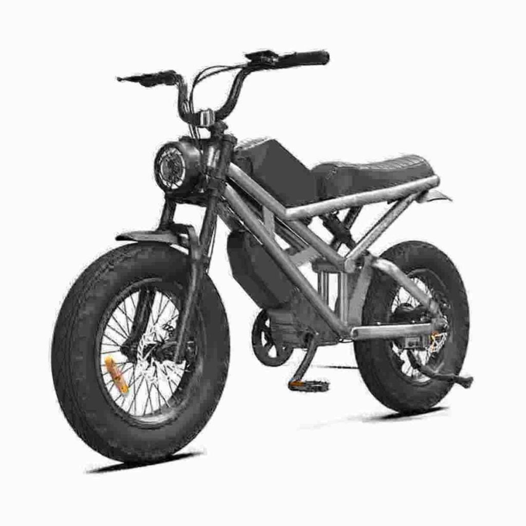 Fat Tire E-Bikes Hersteller