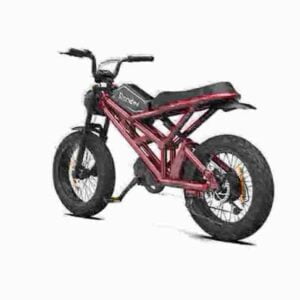 Preis für faltbares Elektrofahrrad Hersteller