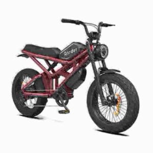 Hybrid-Fat-Tire-Elektrofahrrad Hersteller