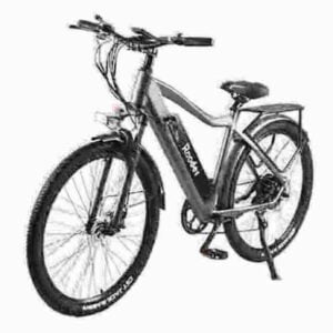 leichtes Elektrofahrrad Hersteller