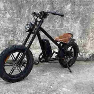 Leichtes faltbares Elektrofahrrad Hersteller