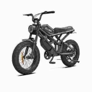 E-Bike im Moped-Stil Hersteller
