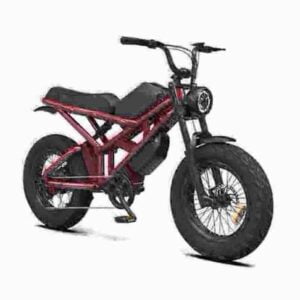 stärkstes Elektrofahrrad Hersteller
