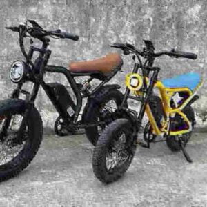 Stärkstes elektrisches Fatbike Hersteller