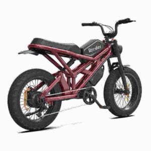 Leistungsstarkes elektrisches Dirtbike Hersteller