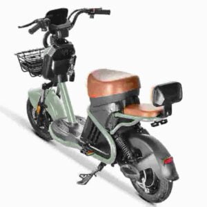 Rooder Citycoco Elektroroller Hersteller