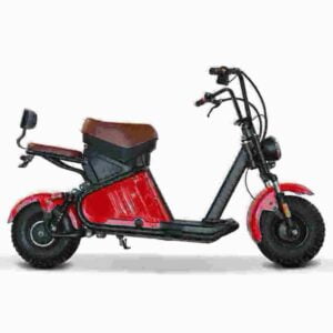 Rooder Citycoco Scooter Hersteller