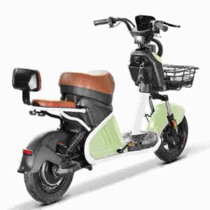 Rooder Citycoco E-Scooter Hersteller