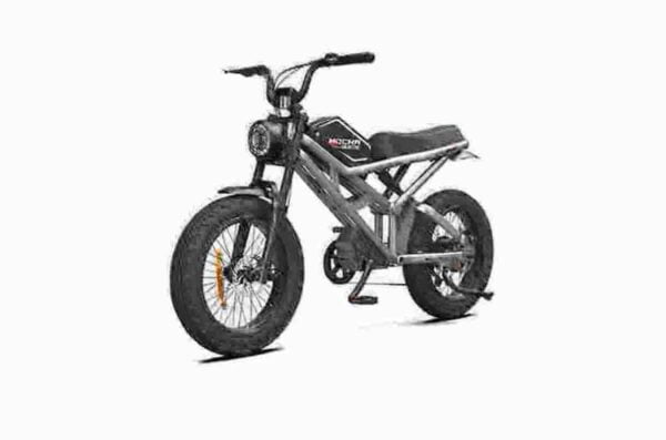 Top E-Bikes Hersteller