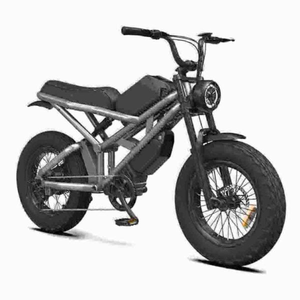 Top Fat Tire E-Bikes Hersteller