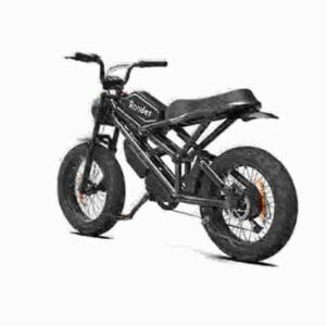 Bestbewertete Fat Tire E-Bikes Hersteller