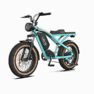 Zweirädriges Fat-Reifen-Elektrofahrrad Hersteller