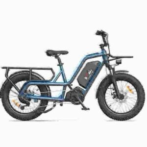 bestes E-Bike mit fetten Reifen 2024 Hersteller