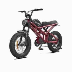 coole E-Bikes Hersteller