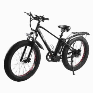 E-Bike-Preis 3 Räder Hersteller