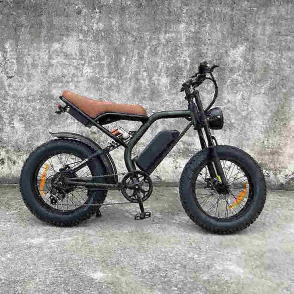 E-Bike-Trike Hersteller