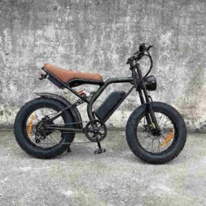 E-Bike-Trike Hersteller