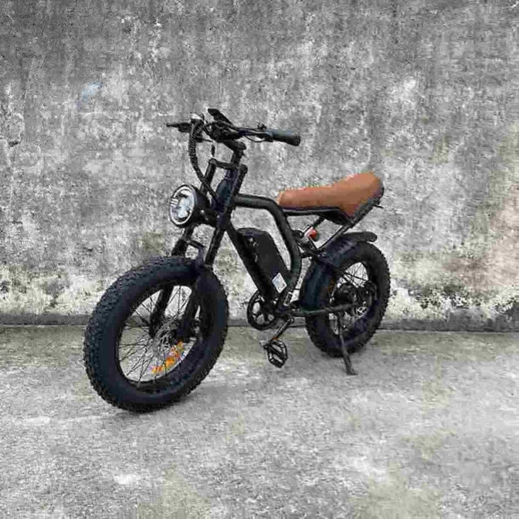 Elektrofahrrad Co Hersteller