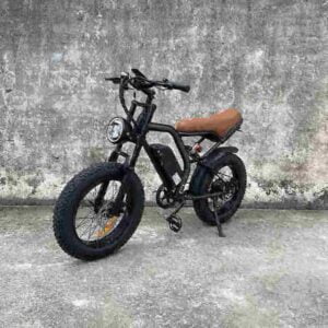 Elektrofahrrad Co Hersteller