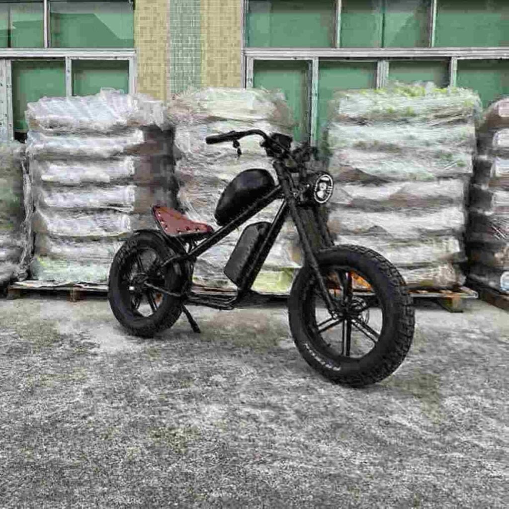 Elektrofahrrad mit Beifahrersitz Hersteller