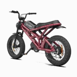 Elektrisches Lastenfahrrad zu verkaufen Hersteller