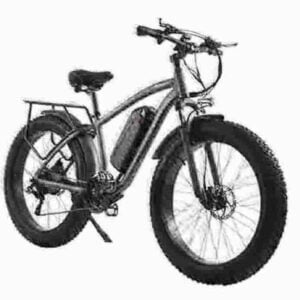grünes Elektrofahrrad Hersteller