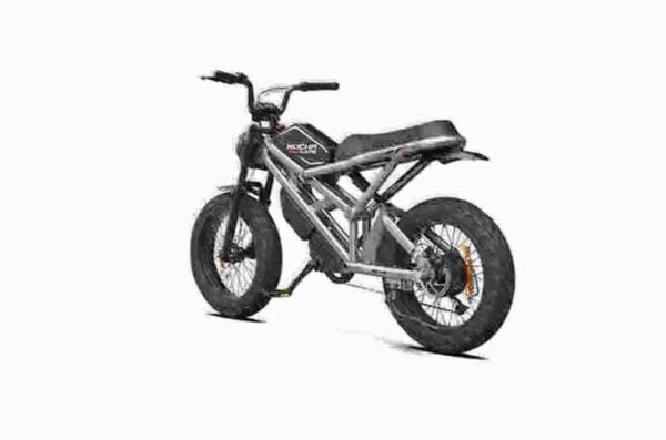 Power-Assist-Fahrrad Hersteller