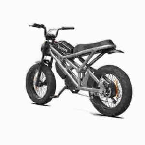 angetriebenes Fahrrad Hersteller
