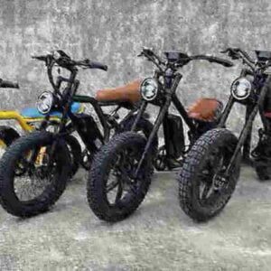 Top E-Bikes 2024 Hersteller